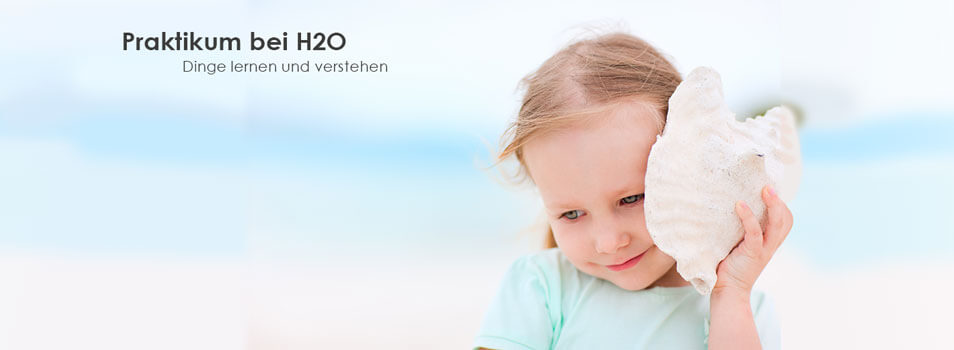 Online Marketing Agentur Praktikum - H2OnlineMarketing